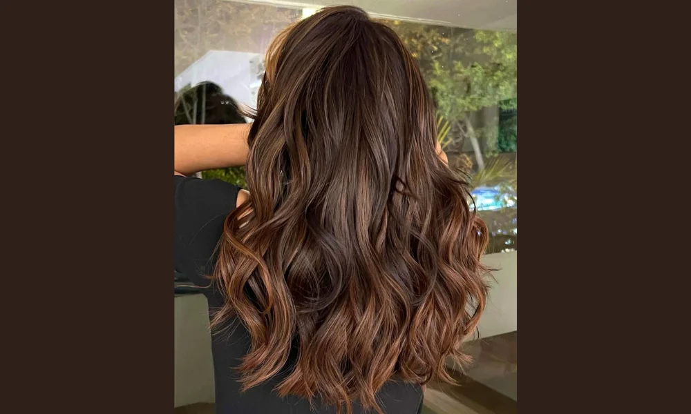 Dark Brown Hair with Highlights