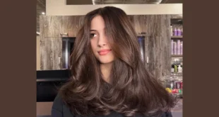 Dark Brown Hair with Highlights