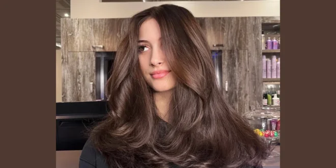 Dark Brown Hair with Highlights